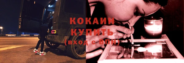 ГАЛЛЮЦИНОГЕННЫЕ ГРИБЫ Богданович
