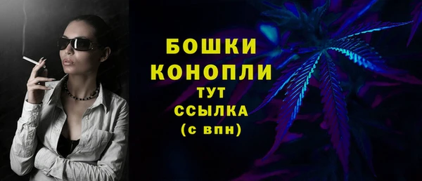 ECSTASY Богородицк