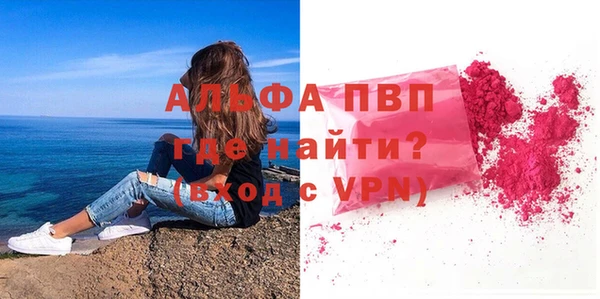 ГАЛЛЮЦИНОГЕННЫЕ ГРИБЫ Богданович