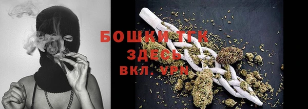 ECSTASY Богородицк